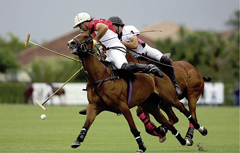 A od Velje – polo 2 A od Velje – polo 2