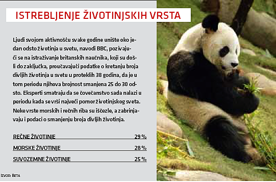 Međuvreme 4 Međuvreme 4
