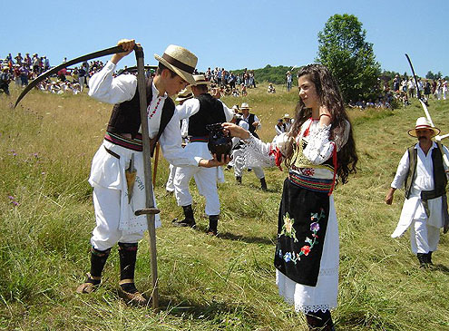 Kosidba 1 Kosidba 1