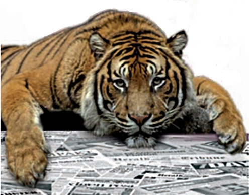 Izdavači, urednici i bengalski tigar 28