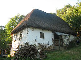 Odlaze ljudi, dolazi šuma 8 Odlaze ljudi, dolazi šuma 8
