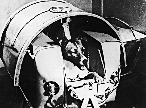 Jurij Gagarin je video sve 4 Jurij Gagarin je video sve 4