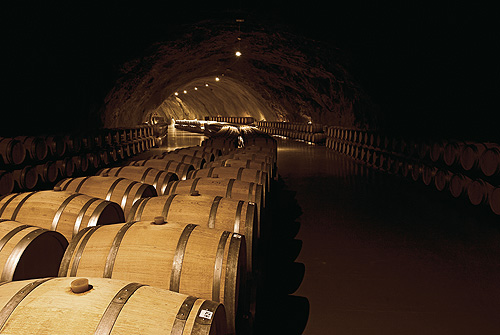 Nektari najvećeg vinograda Evrope 4