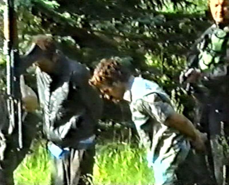Slučaj Srebrenica, zločinac bez kazne 14