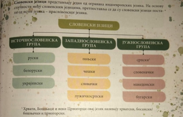 Svađa oko jezika: Negiranje bosanskog i hrvatskog 2 Svađa oko jezika: Negiranje bosanskog i hrvatskog 2