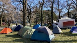 Protestni zeleni kamp u Pionirskom parku: Jutrenja kod Predsednika 24