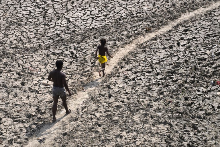 Klimatske promene: Šume ključne za smanjenje globalnog zagrevanja 2 Klimatske promene: Šume ključne za smanjenje globalnog zagrevanja 2