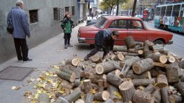 "Srbijašume" proglašene energetskim preduzećem: Skok cena drva i peleta 21