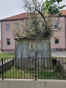 Spomenik iz kojeg raste drvo 4
