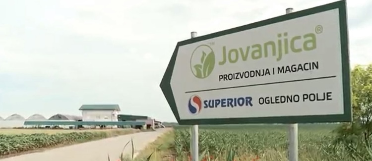 Vodič kroz Jovanjicu: Ko je ko i šta je šta u najvećem pravosudnom i političkom skandalu u Srbiji 2 Vodič kroz Jovanjicu: Ko je ko i šta je šta u najvećem pravosudnom i političkom skandalu u Srbiji 2