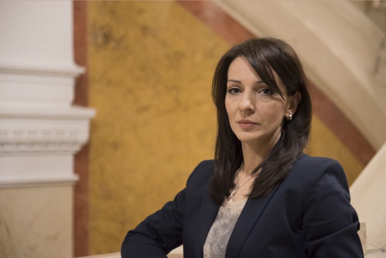 Marinika Tepić: Vladimir Orlić je bio promoter mržnje 2 Marinika Tepić: Vladimir Orlić je bio promoter mržnje 2