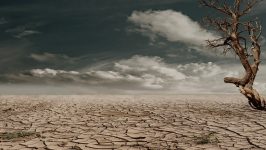 SAD: Najgora suša u poslednjih 1200 godina 4