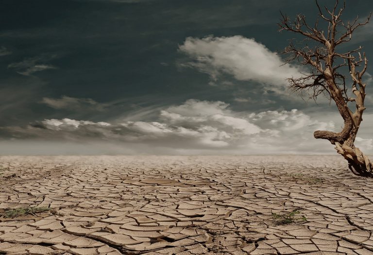 SAD: Najgora suša u poslednjih 1200 godina 2