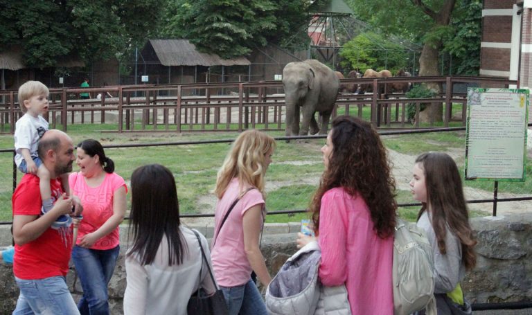 Premeštanje zoološkog vrta: Šapićev svojevoljan, izuzetno pogrešan predlog 2