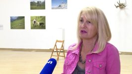 Novi Sad: Aktivistikinja osuđena zato što je tajkuna nazvala tajkunom 18